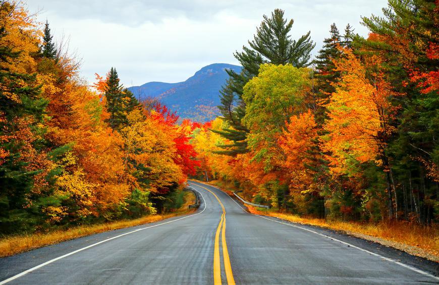 Fall in all its glory. - Photo by The Daily Meal