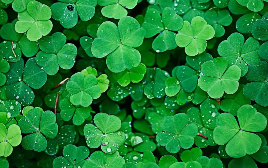 Four-leaf+clovers+are+considered+lucky+around+the+world%2C+but+there+are+so+many+other+things+that+make+people+lucky.+-+Photo+by+Little+Raes+Bakery