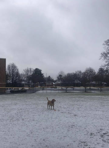 Gloomy day at Nye Elementary. 