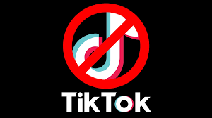 Should TikTok Be Banned?