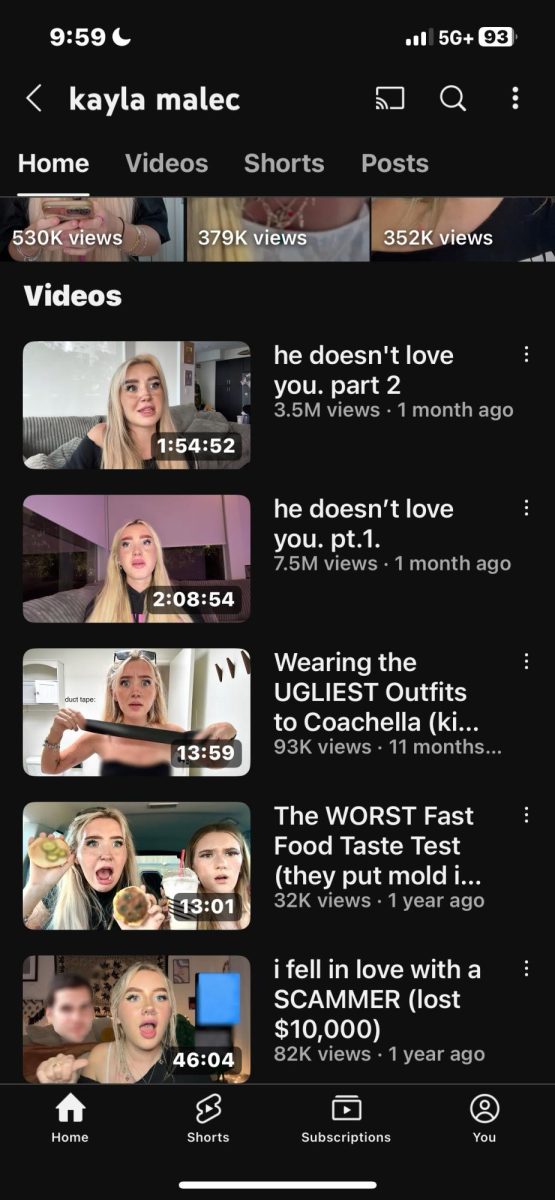 Kayla Malec's YouTube page with her serie explaining her abuse on display