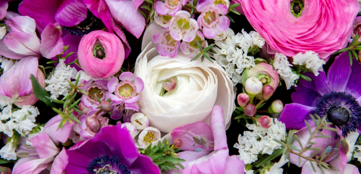 How scents improve our emotions