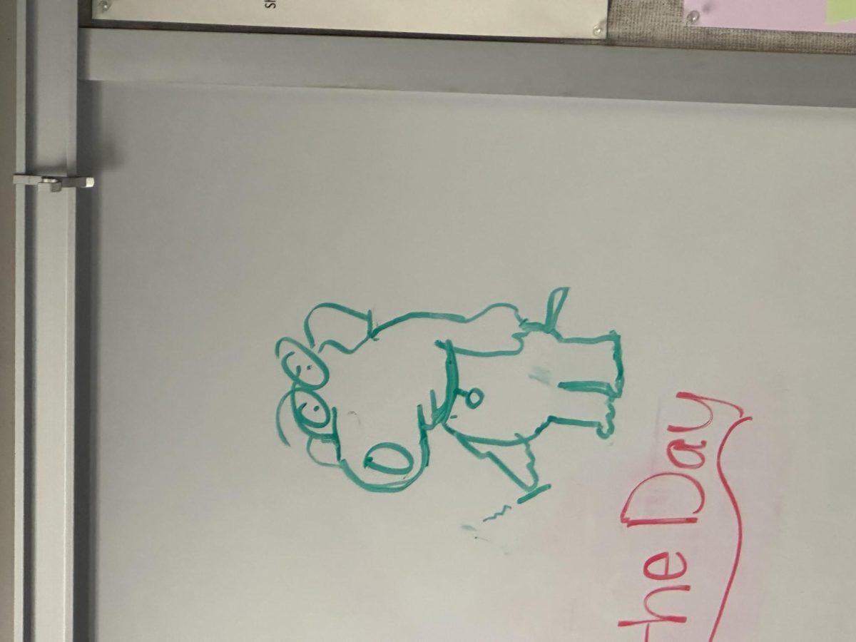 Here’s why students should draw on whiteboards